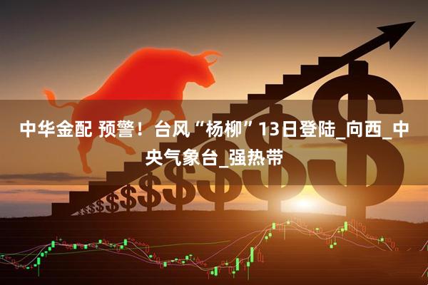 中华金配 预警！台风“杨柳”13日登陆_向西_中央气象台_强热带