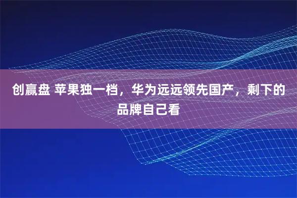 创赢盘 苹果独一档，华为远远领先国产，剩下的品牌自己看