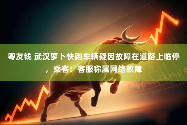 粤友钱 武汉萝卜快跑车辆疑因故障在道路上临停，乘客：客服称属网络故障