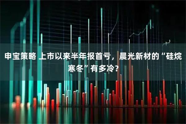 申宝策略 上市以来半年报首亏，晨光新材的“硅烷寒冬”有多冷？