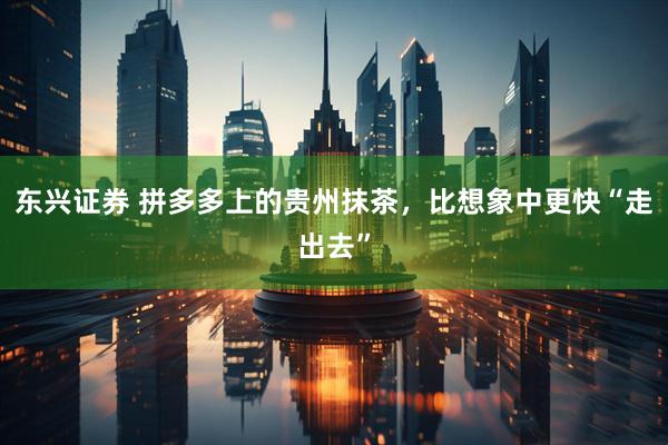 东兴证券 拼多多上的贵州抹茶，比想象中更快“走出去”