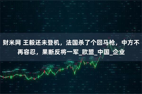 财米网 王毅还未登机，法国杀了个回马枪，中方不再容忍，果断反将一军_欧盟_中国_企业