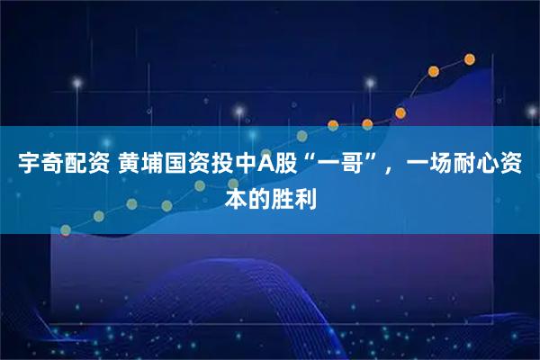 宇奇配资 黄埔国资投中A股“一哥”，一场耐心资本的胜利