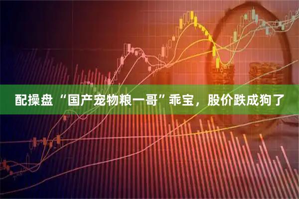 配操盘 “国产宠物粮一哥”乖宝，股价跌成狗了